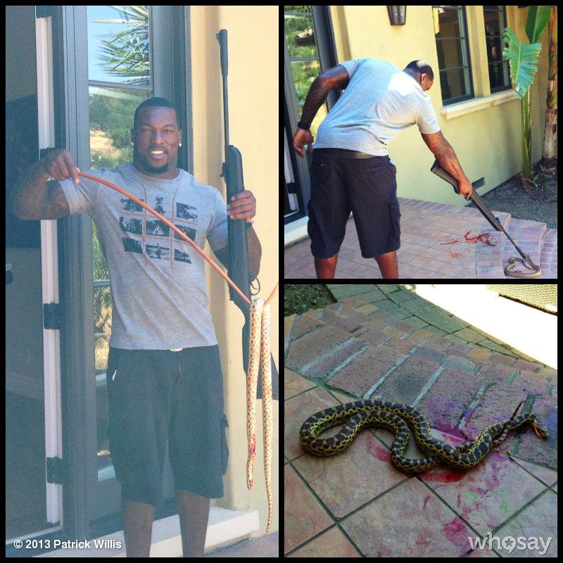 San Francisco 49ers, NFL, Ormdödare, Patrick Willis